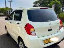Suzuki CELERIO 2015 Car