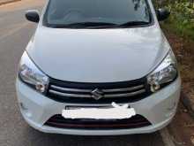 Suzuki Celerio 2015 Car