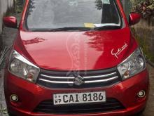 Suzuki Celerio 2015 Car