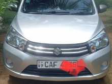 Suzuki Celerio 2015 Car
