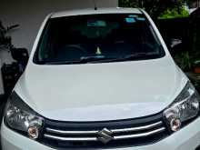 Suzuki Celerio 2015 Car