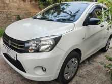 Suzuki Celerio 2015 Car