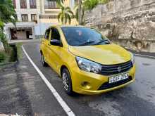 Suzuki Celerio 2015 Car