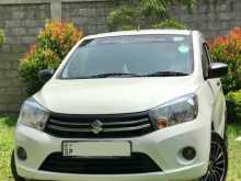 Suzuki Celerio 2016 Car