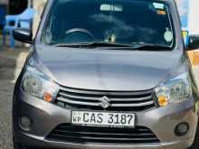Suzuki Celerio 2016 Car