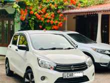 Suzuki Celerio 2016 Car