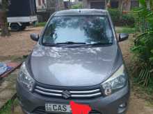 Suzuki Celerio 2016 Car