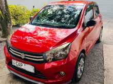 Suzuki Celerio 2016 Car