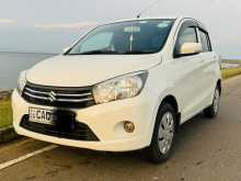 Suzuki Celerio 2016 Car