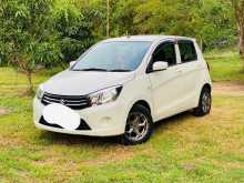 Suzuki Celerio Vxi 2016 Car