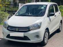 Suzuki Celerio 2016 Car