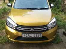 Suzuki Celerio 2016 Car
