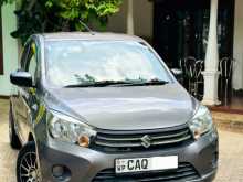Suzuki Celerio 2016 Car