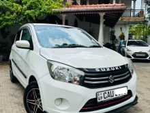 Suzuki Celerio Zxi 2017 Car