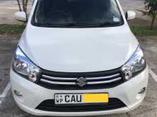 Suzuki Celerio 2017 Car