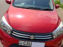 Suzuki Celerio 2017 Car