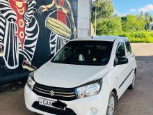 Suzuki Celerio 2014 Car