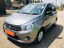 Suzuki CELERIO 2015 Car