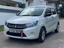 Suzuki Celerio 2014 Car