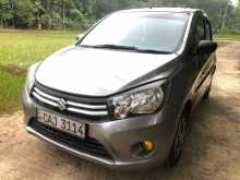 Suzuki Celerio 2015 Car