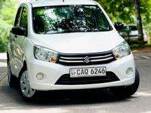 Suzuki Celerio 2016 Car