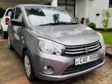 Suzuki Celerio 2015 Car