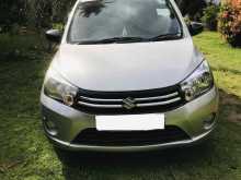 Suzuki Celerio 2015 Car