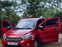 Suzuki Celerio 2015 Car