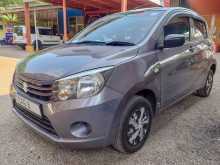 Suzuki Celerio 2015 Car