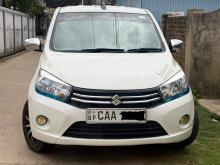 Suzuki Celerio 2014 Car