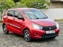 Suzuki Celerio 2015 Car