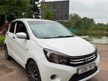 Suzuki Celerio 2015 Car