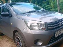 Suzuki Celerio 2016 Car