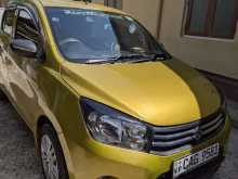 Suzuki Celerio 2015 Car