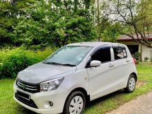Suzuki Celerio 2015 Car