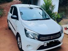 Suzuki Celerio 2014 Car