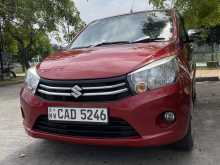 Suzuki Celerio 2015 Car