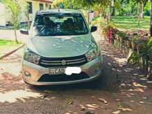 Suzuki Celerio 2015 Car