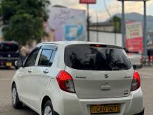 Suzuki Celerio 2015 Car