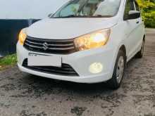 Suzuki Celerio 2016 Car