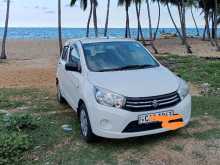 Suzuki Celerio 2015 Car