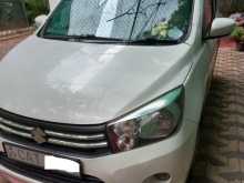 Suzuki Celerio 2016 Car