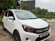 Suzuki Celerio 2015 Car