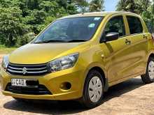 Suzuki Celerio 2015 Car