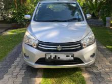 Suzuki Celerio 2015 Car