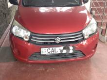 Suzuki Celerio 2015 Car