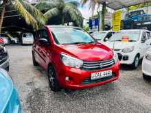 Suzuki Celerio 2015 Car