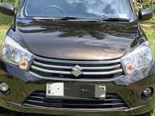 Suzuki Celerio 2014 Car