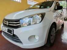 Suzuki Celerio 2015 Car