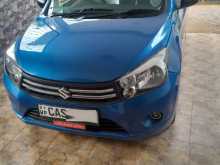 Suzuki Celerio 2014 Car